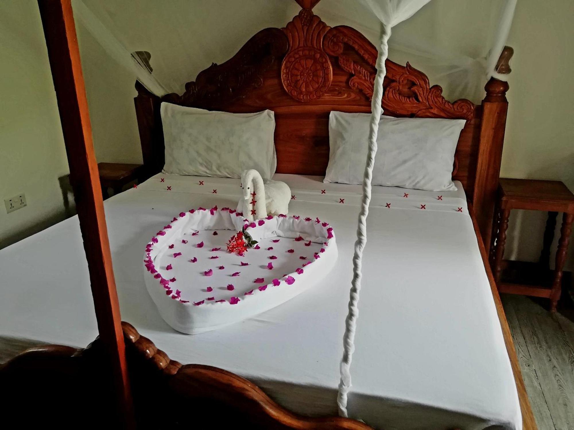 Bed and breakfast The New Blue Waves