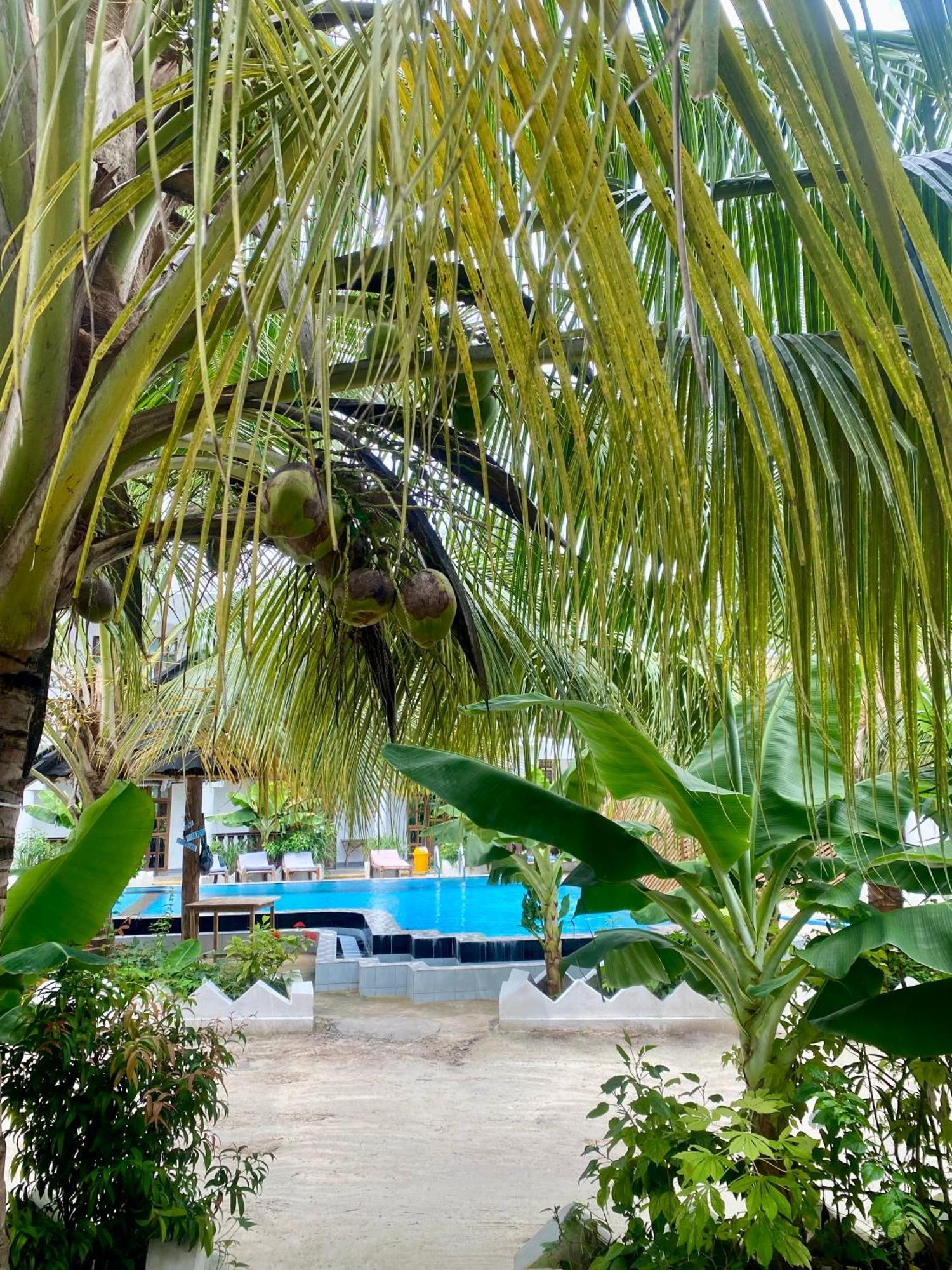 Bed and breakfast The New Blue Waves 2*