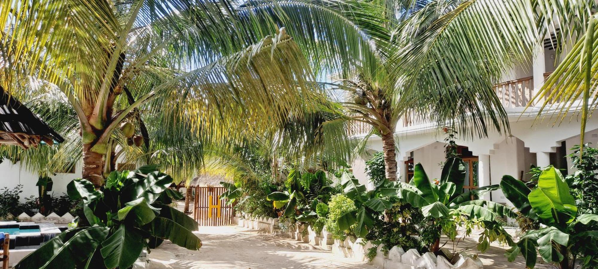 The New Blue Waves Bed and breakfast 2*