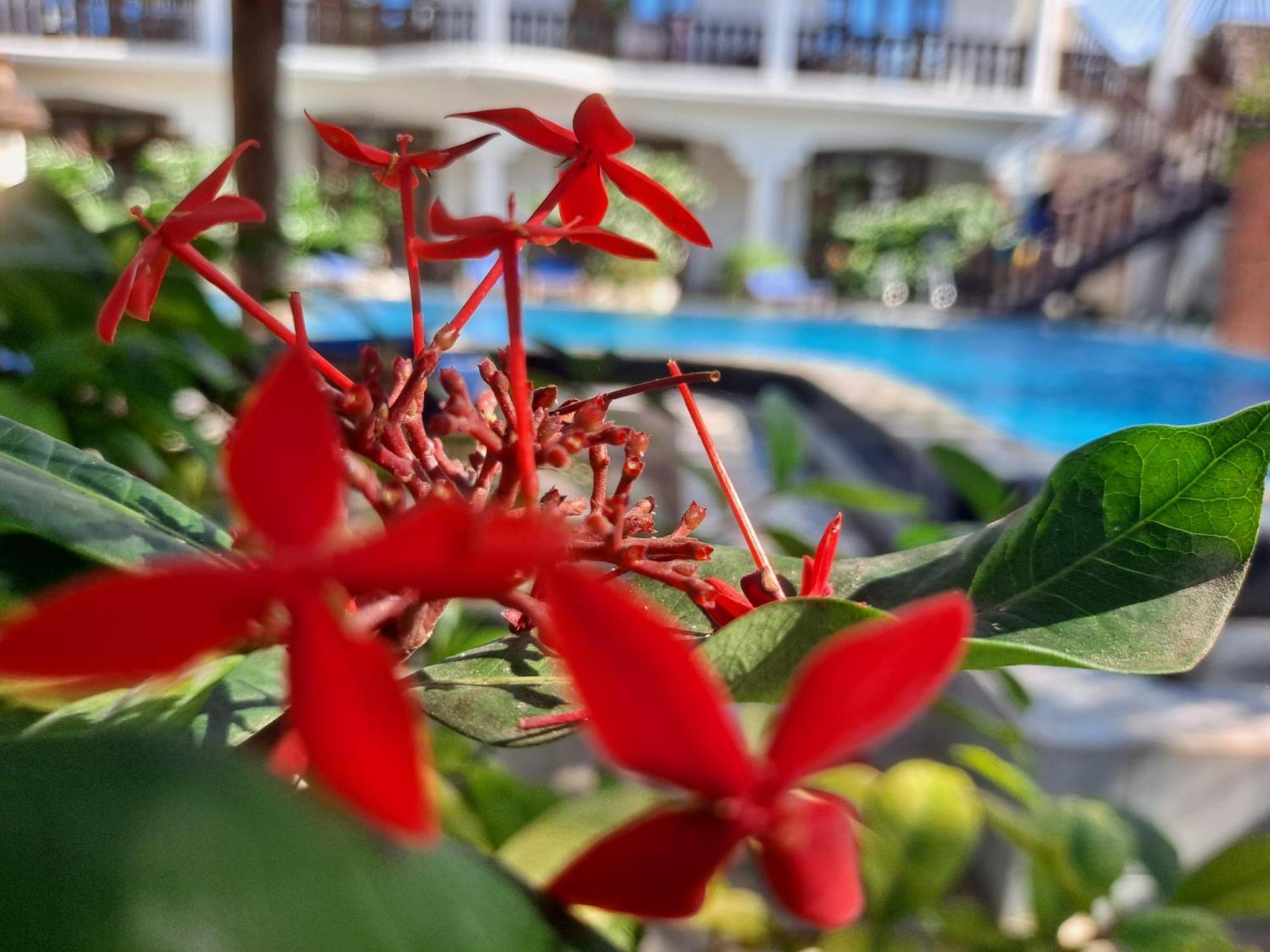 The New Blue Waves Bed and breakfast Jambiani (Zanzibar)